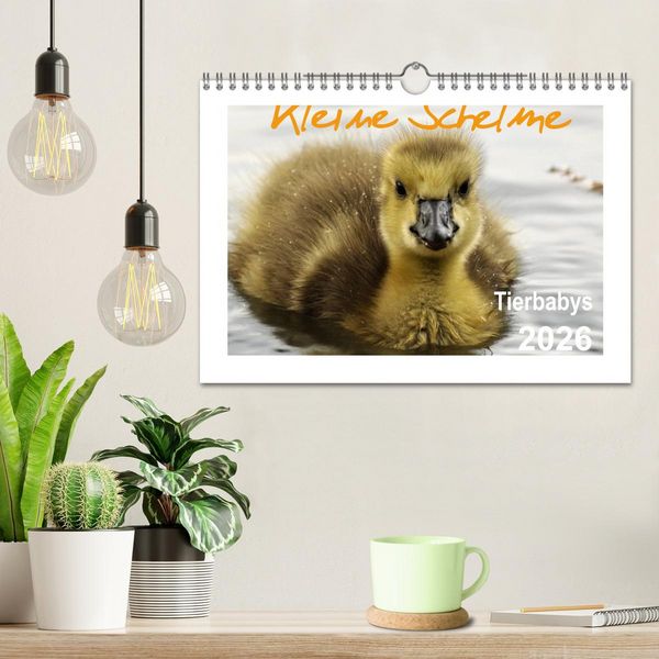 Produktbild: Kleine Schelme - Tierbabys (Wandkalender 2026 DIN A4 quer), CALVENDO Monatskalender