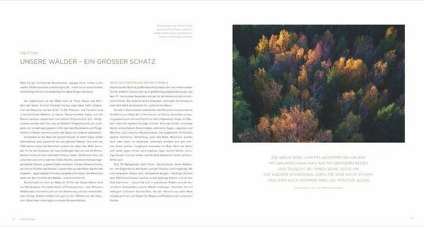 Produktbild: Deutschland deine W&auml;lder