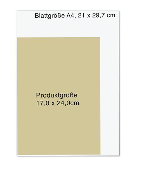 Produktbild: 7 Minuten am Tag