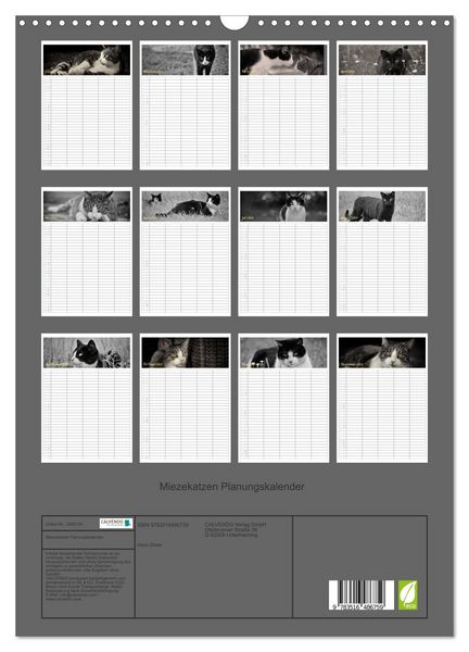Produktbild: Miezekatzen Planungskalender (Wandkalender 2026 DIN A3 hoch), CALVENDO Monatskalender