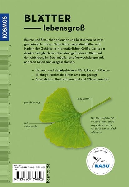 Produktbild: B&auml;ume am Blatt erkennen - 78 Laub- und Nadelgeh&ouml;lze. Bl&auml;tter in Originalgr&ouml;&szlig;e