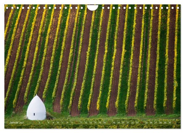 Produktbild: Wein - Landschaften (Wandkalender 2027 DIN A4 quer), CALVENDO Monatskalender