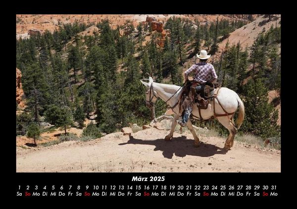 Produktbild: Pferde Kalender 2025 Fotokalender DIN A3