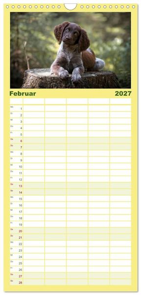 Produktbild: Familienplaner 2027 - Passion Jagdhund - Deutsch Langhaar mit 5 Spalten (Wandkalender, 21 x 45 cm) CALVENDO