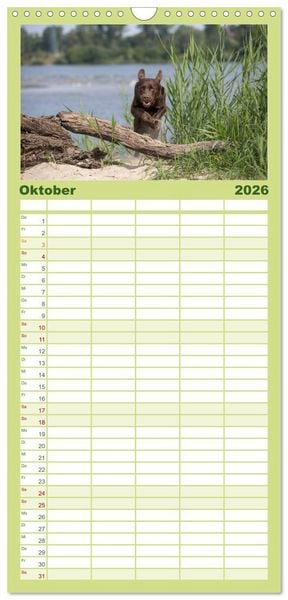 Produktbild: Familienplaner 2026 - POWERHUNDE 2026 mit 5 Spalten (Wandkalender, 21 x 45 cm) CALVENDO