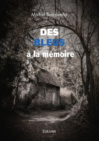 Produktbild: Des bleus a la memoire