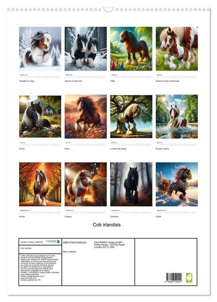 Produktbild: Cob irlandais (Calendrier mural 2026 DIN A2 horizontal), CALVENDO calendrier mensuel