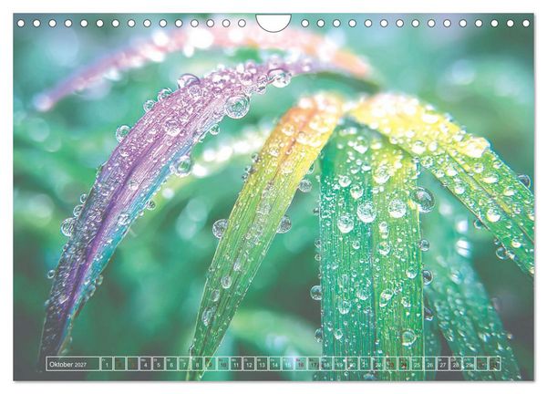 Produktbild: Lichtspiele der Natur (Wandkalender 2027 DIN A4 quer), CALVENDO Monatskalender