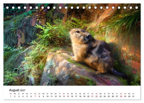 Produktbild: Lemminge - Kleine Helden der Tundra (Tischkalender 2027 DIN A5 quer), CALVENDO Monatskalender
