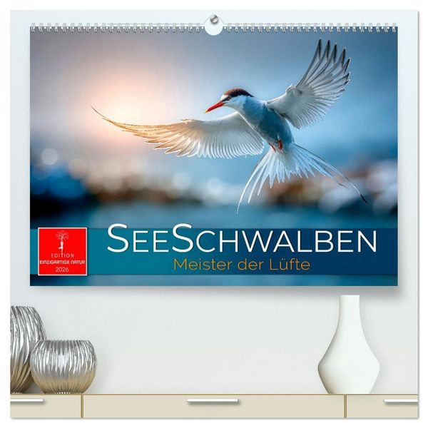 Produktbild: Seeschwalben - Meister der L&uuml;fte (hochwertiger Premium Wandkalender 2026 DIN A2 quer), Kunstdruck in Hochglanz