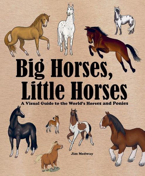 Produktbild: Big Horses, Little Horses