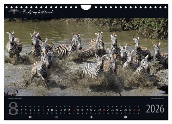 Produktbild: Tansania Blickwinkel 2026 (Wandkalender 2026 DIN A4 quer), CALVENDO Monatskalender