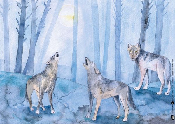 Produktbild: Der Wolf. Kamishibai Bildkartenset.