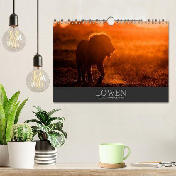 Produktbild: L&ouml;wen Wildlife-Fotografien (Wandkalender 2026 DIN A4 quer), CALVENDO Monatskalender