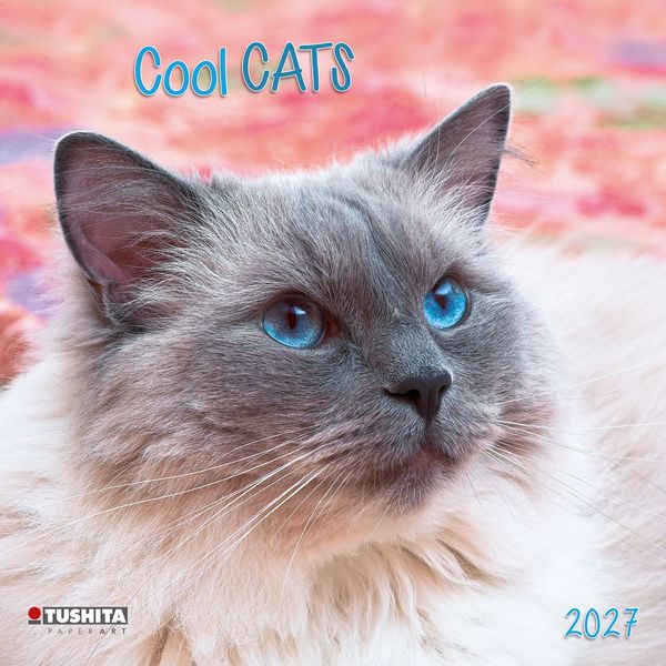 Produktbild: Cool Cats 2027