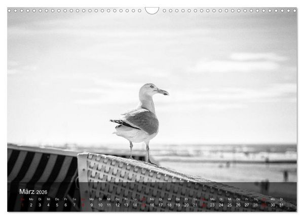 Produktbild: Wangerooge Noir (Wandkalender 2026 DIN A3 quer), CALVENDO Monatskalender