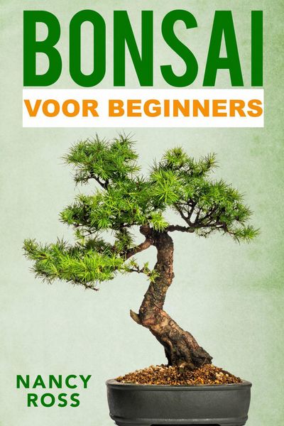 Produktbild: Bonsai
