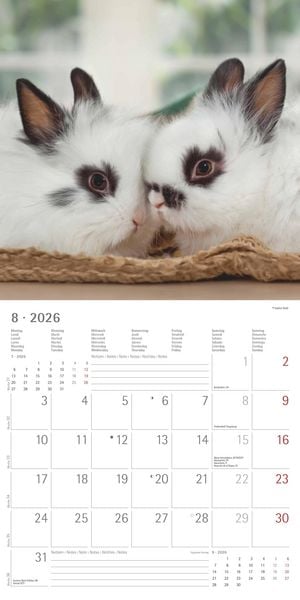 Produktbild: Kaninchen 2026 - Broschürenkalender 30x30 cm (30x60 geöffnet) - Kalender mit Platz für Notizen - Rabbits - Bildkalender - Wandplaner - Wandkalender