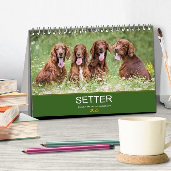 Produktbild: Setter - Geliebter Freund und Jagdkamerad (Tischkalender 2026 DIN A5 quer), CALVENDO Monatskalender