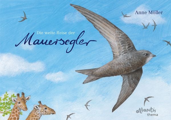 Produktbild: Die weite Reise der Mauersegler