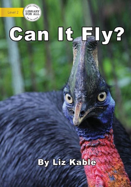 Produktbild: Can It Fly?