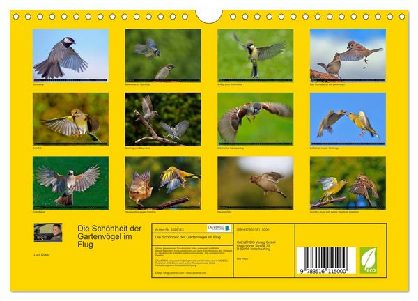 Produktbild: Die Sch&ouml;nheit der Gartenv&ouml;gel im Flug (Wandkalender 2026 DIN A4 quer), CALVENDO Monatskalender