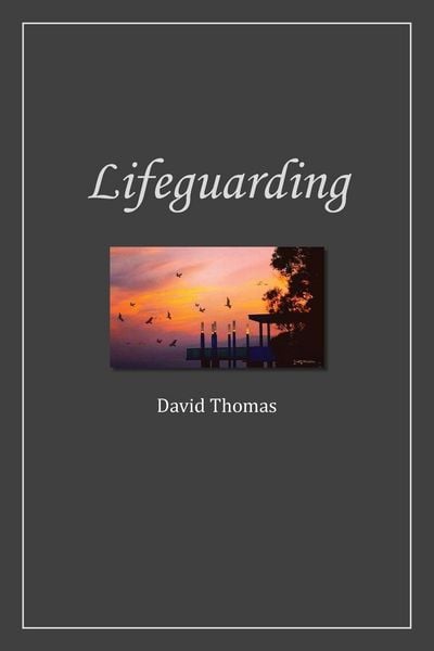 Produktbild: Lifeguarding