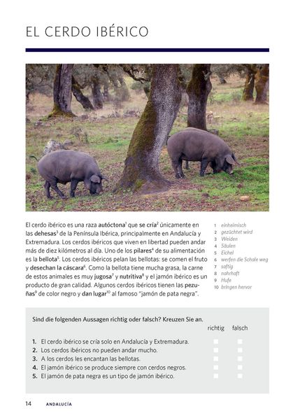 Produktbild: Langenscheidt Die kulinarische Sprachreise Spanisch