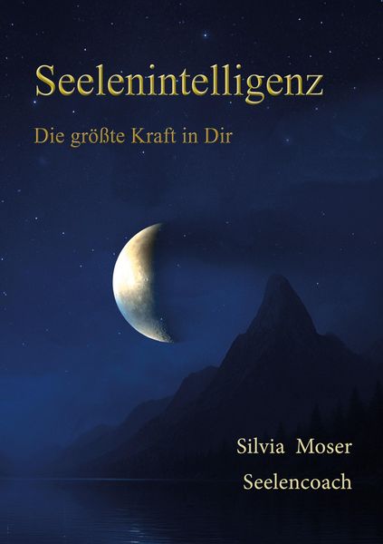 Produktbild: Seelenintelligenz