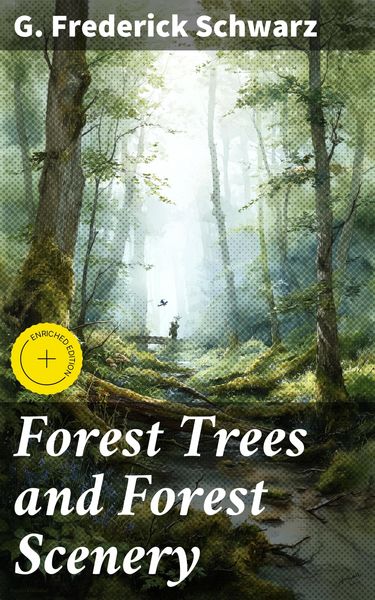 Produktbild: Forest Trees and Forest Scenery
