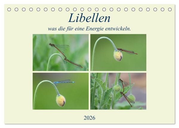 Produktbild: Libellen, was die f&uuml;r eine Energie entwickeln. (Tischkalender 2026 DIN A5 quer), CALVENDO Monatskalender