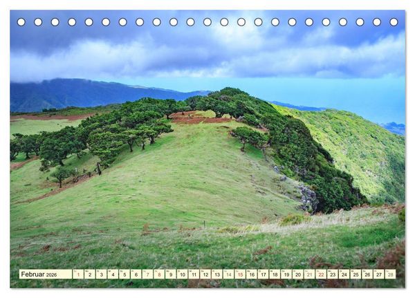 Produktbild: Mystische W&auml;lder - Zauber der Natur (Tischkalender 2026 DIN A5 quer), CALVENDO Monatskalender