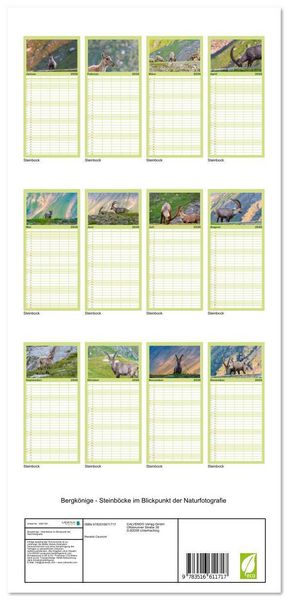 Produktbild: Familienplaner 2026 - Bergk&ouml;nige - Steinb&ouml;cke im Blickpunkt der Naturfotografie mit 5 Spalten (Wandkalender, 21 x 45 cm) CALVENDO
