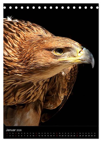 Produktbild: Raubv&ouml;gel - Die J&auml;ger der L&uuml;fte (Tischkalender 2026 DIN A5 hoch), CALVENDO Monatskalender