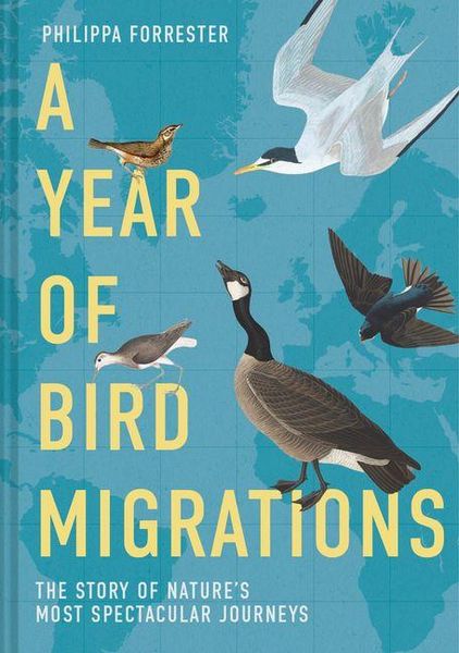 Produktbild: A Year of Bird Migrations