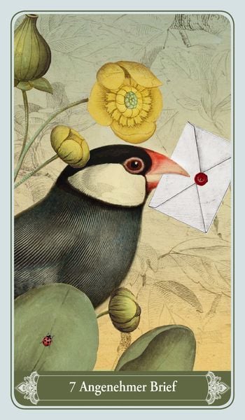 Produktbild: Christephania Kipper - 36 Karten und Booklet