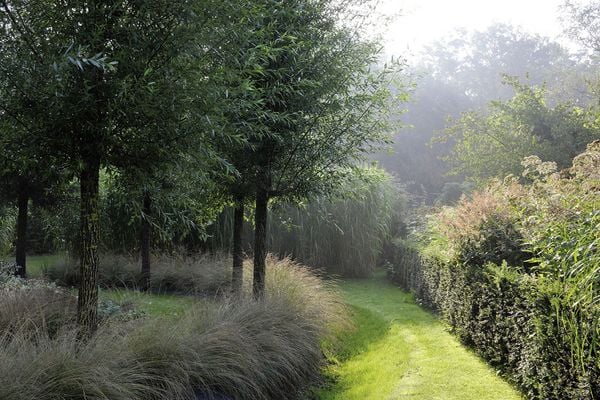 Produktbild: Meine Vision wird Garten