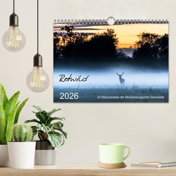 Produktbild: Rotwild - im Naturparadies der Mecklenburgischen Seenplatte (Wandkalender 2026 DIN A4 quer), CALVENDO Monatskalender