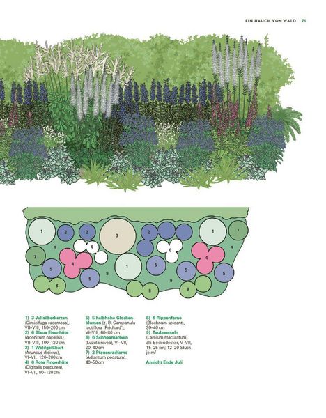 Produktbild: Das gro&szlig;e Buch der Stauden und Sommerblumen