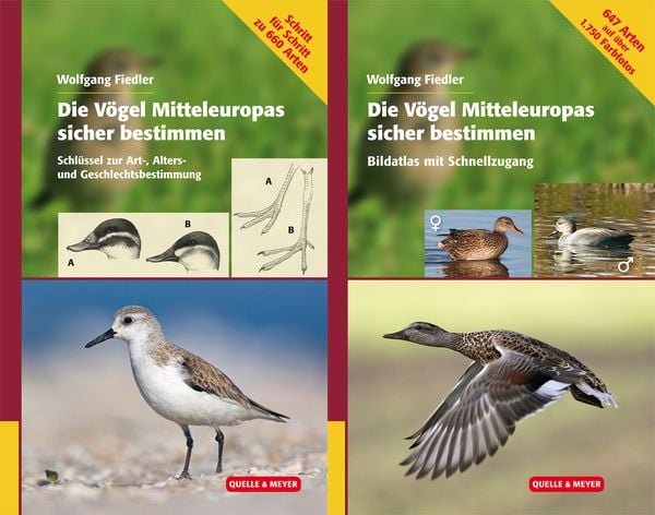 Produktbild: Die V&ouml;gel Mitteleuropas sicher bestimmen