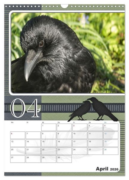 Produktbild: Kr&auml;hen - Clever notiert! Mit K&ouml;pfchen durchs ganze Jahr (Wandkalender 2026 DIN A3 hoch), CALVENDO Monatskalender