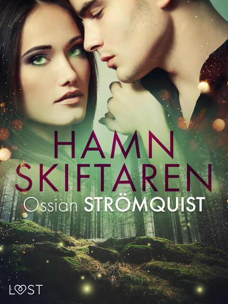 Produktbild: Hamnskiftaren - erotisk novell