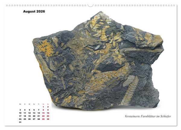 Produktbild: Fossilien - Ammoniten, Trilobiten, Erdgeschichte (hochwertiger Premium Wandkalender 2026 DIN A2 quer), Kunstdruck in Hochglanz