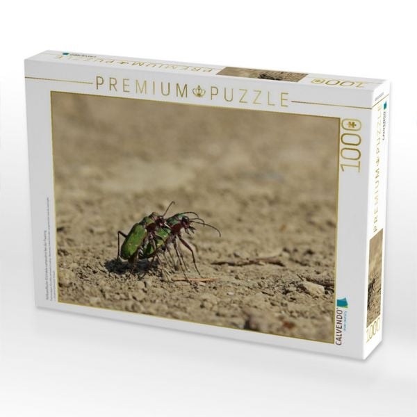 Produktbild: CALVENDO Puzzle Feldsandl&auml;ufer (Cicindela campestris) bei der Paarung | 1000 Teile Lege-Gr&ouml;&szlig;e 64x48cm Foto-Puzzle f&uuml;r gl&uuml;ckliche Stunden