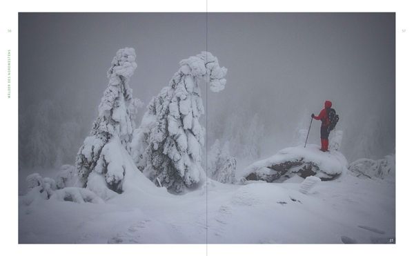 Produktbild: Wild Guide Deutsche W&auml;lder