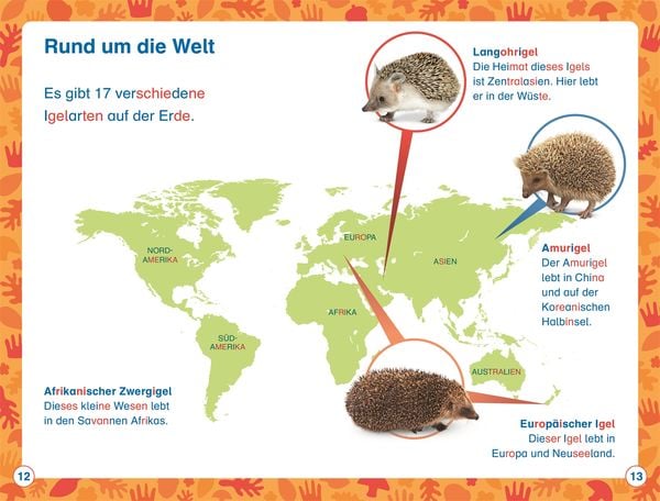 Produktbild: Superleser! Hallo, Igel!