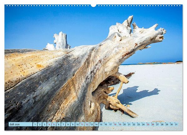 Produktbild: Das Element Holz - Ein Sinnbild (hochwertiger Premium Wandkalender 2026 DIN A2 quer), Kunstdruck in Hochglanz