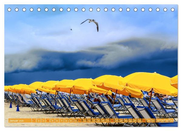 Produktbild: Florida - Sonnige Str&auml;nde und magische S&uuml;mpfe (Tischkalender 2026 DIN A5 quer), CALVENDO Monatskalender