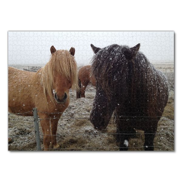 Produktbild: Lais Puzzle Islandpferde 1000 Teile