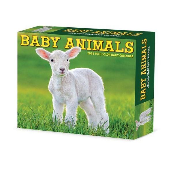 Produktbild: Baby Animals 2026 Box Calendar
